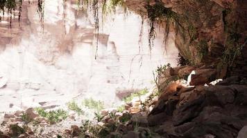 à l'intérieur d'une grotte calcaire avec des plantes et du soleil