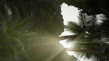 Sonnenlicht in einer mysteriösen Höhle video