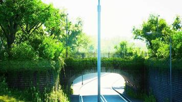 arch bridge with living bush branches in park video