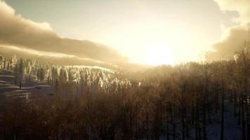 fantastique paysage d'hiver en soirée video