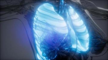 examen radiologique des poumons humains video