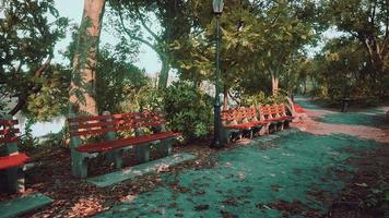 Empty benches in the park during the quarantine due to the pandemic COVID-19 video