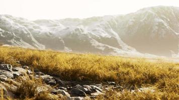 herbe sèche sur la montagne avec brouillard video