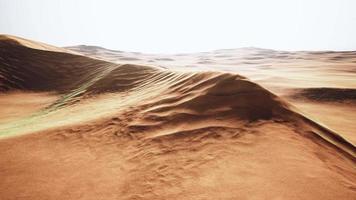 Big sand dune in Sahara desert landscape video