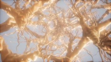 viaje a través de una red de células neuronales dentro del cerebro video