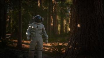 astronaute solitaire dans la forêt sombre video