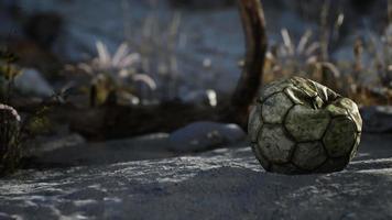 uma velha bola de futebol rasgada jogada encontra-se na areia da praia do mar video