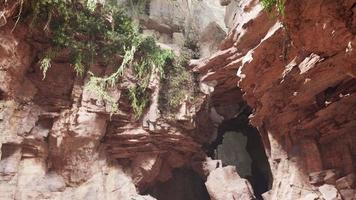 dentro de una cueva de piedra caliza con plantas y sol video