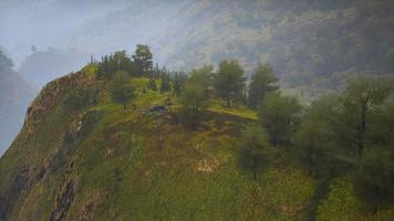 pequeños árboles verdes en las colinas en la niebla video