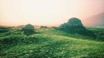 alpine meadow with rocks and green grass video