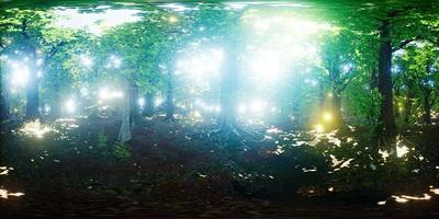 vr 360 luciole volant dans la forêt video