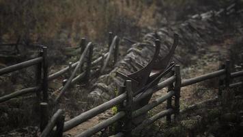 Russian old village on the edge of the forest is destroyed video