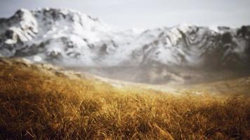 grama seca e montanhas cobertas de neve no alasca video