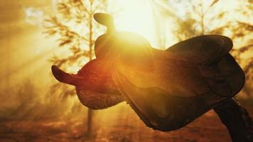 vintage Leather horse saddle on the dead tree in forest at sunset video