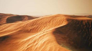 dunas del desierto del cuarto vacío en liwa video