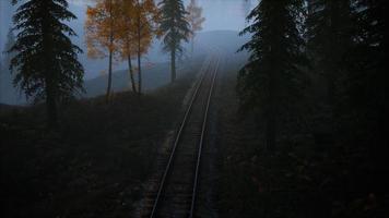 área de recreação florestal nacional e o nevoeiro com ferrovia video
