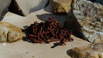 vieille chaîne rouillée dans le sable video