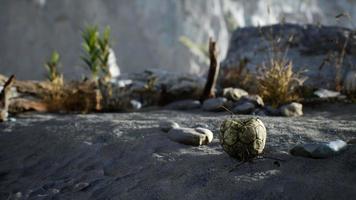 An old torn soccer ball thrown lies on sand of sea beach video