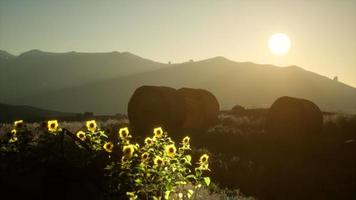 hay bales in the sunset video