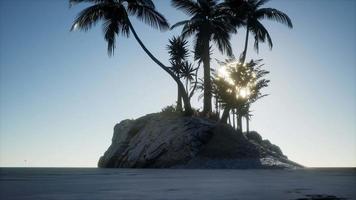 île tropicale des maldives dans l'océan video