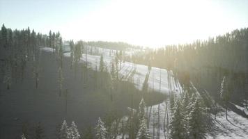 paisagem de montanha em um dia ensolarado de inverno video
