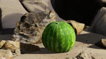 melancia fresca em uma bela praia de areia