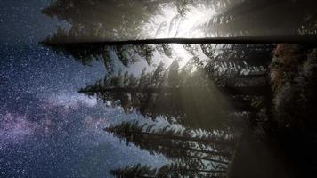 Milky Way Galaxy over Forest video