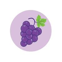 Grapes flat style Free Vector. Bunch of purple grapes with stem and leaf vector