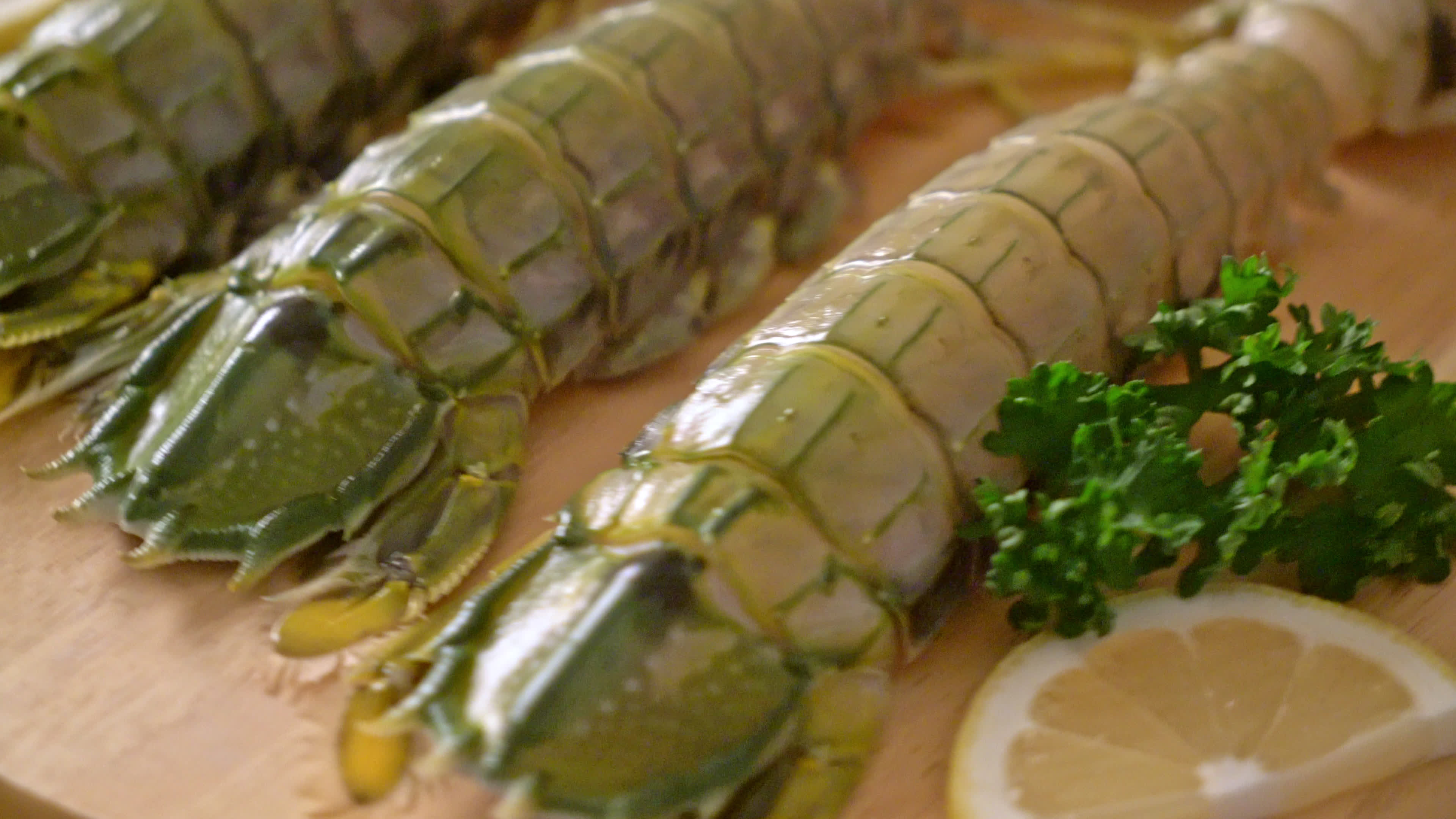 what to feed mantis shrimp