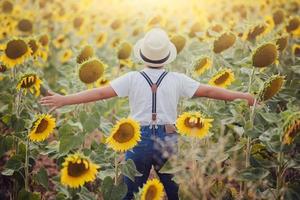 boy in the field of sunflowers photo