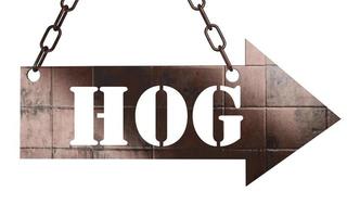 hog word on metal pointer photo