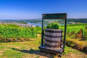 Wooden grape barrel in vineyards green fields with grapevine rows and on hills of river Rhine Valley photo