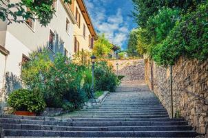 escalera de adoquines con escaleras, árboles verdes, arbustos y flores, luces de la calle foto