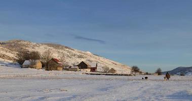pastor andando de volta para casa com suas ovelhas e cães durante o pôr do sol no inverno. bela hora de ouro. pequena aldeia cercada por montanhas. neve cobrindo o chão. estilo de vida tradicional.