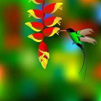 flor con colibri vector