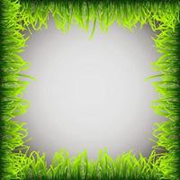 Grass frame, border vector