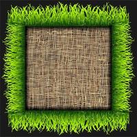 Eco nature frame vector