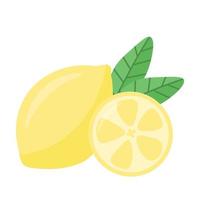 Lemon with greens on a white background. Half a lemon vector