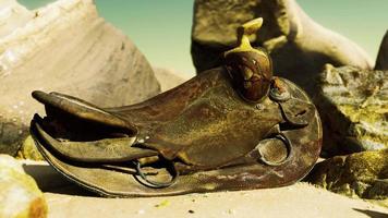 Très vieille selle de cheval sur la plage de sable video