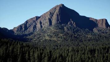 toma de gran angular del paisaje montañoso con bosque de primavera video