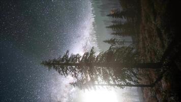 Milky Way stars with moonlight above pine trees forest video