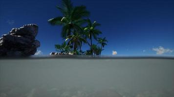 brown muddy water and palms on island video