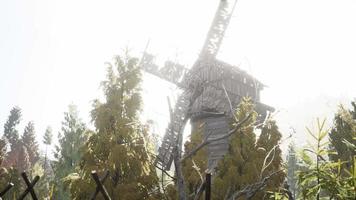 antiguo molino de viento de madera tradicional en el bosque video