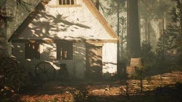 old wooden house in the autumn forest video