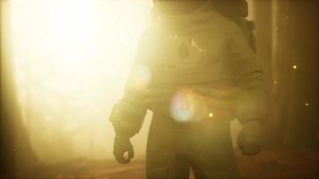 astronaute solitaire dans la forêt sombre video