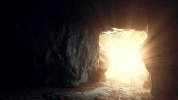 gran cueva oscura y luz solar del bosque selvático video