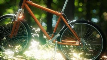 bicicleta de montaña en el camino del bosque video