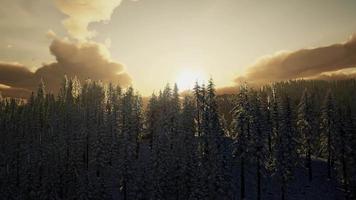 majestuoso paisaje invernal que brilla a la luz del sol video