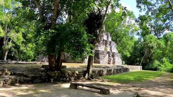 antiguo sitio maya con templo ruinas pirámides artefactos muyil mexico. video