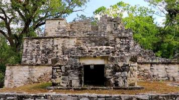 antico sito maya con rovine di templi piramidi manufatti muyil messico. video